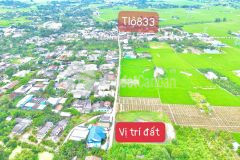 Mt nguyễn thị tầm tại ấp bình đức xã bình lãng huyện tân trụ dt 5x29m 145m2 có vài nền liền kề