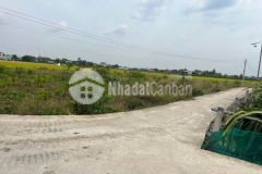 Bán lô đất dt 5m x 27m giá 620tr bình trinh đông huyện tân trụ long an