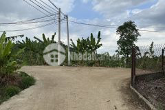 Kẹt tiền làm ăn cần bán gấp lô đất vườn 1300m2 trảng bom