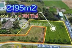 2400m2 đất 3 măt tiền đường có 700m2 thổ xã tân lân, cần đước giá 4 tỷ