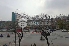 Bán nhà mặt phố văn cao 4 tầng, mặt tiền 3.6m, diện tích 46m2