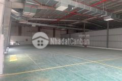 Cho thuê kho hóa chất tại kcn thuận thành. tỉnh bắc ninh