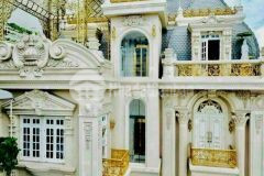 Chính chủ bán biệt thự villa siêu sang dát vàng quý tộc, đẳng cấp thượng lưu nguyễn đình chiểu,q1