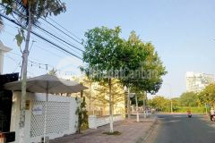 210m đường d8 khu hành chính, p9 tp vĩnh long gần quán pari 1987