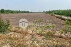 1,4ha đất vườn ven sông xã bình đức, huyện bến lức giá 10,9 tỷ