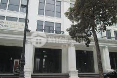 Cc bán nhà liền kề louis city hoàng mai mặt đường 18m, 95m2 chỉ 31 tỷ. lh 0989.62.6116