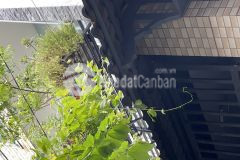 Ngang hiếm 5m dt khủng 75m2 xe hơi ngủ trong nhà