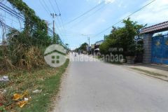 43.596m2 đất mặt tiền tl826c cần giuộc giá 48 tỷ