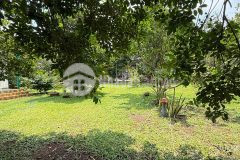 Tôi chính chủ cần bánh nhanh lô đất trái cấy giá rẻ chỉ 850tr