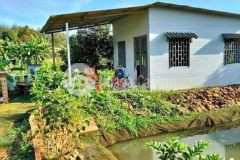 Cần vốn làm ăn cần bán gấp lô đất vườn 1300m2 tại tp long khánh