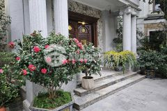 Bán biệt thự siêu sang 329m² khu hoa lan vinhomes riverside, thang máy sổ đỏ chính chủ