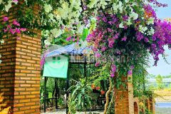 Bá.n nền 120m² đường a3, kdc phú an phú thứ, cái răng, cần thơ gi.á bá.n 3 t.ỷ 100 t.riệu