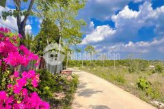 Kẹt vốn kinh doanh cần bán gấp lô đất vườn long khánh 1500m2, giá ngộp