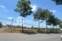 Ngộp bank bán đất lớn đường lê hồng phong, thị trấn ngãi giao, huyện châu đức, bà rịa vũng tàu