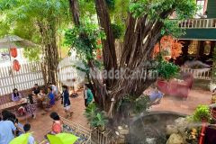 Giảm 17 tỷ, bán quán cafe sân vườn 2 mặt tiền, 611m2 full thổ, dòng tiền 360tr tháng