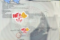 Mảnh đất vàng cho nhà đầu tư tại đông anh hà nội