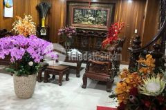 Bán nhà định công hạ. hoàng mai. dt 61m2. mt 5,7m. 5 tầng. giá 9,78 tỷ.