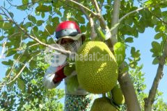 Cần bán đất vườn tại thống nhất gia kiệm chỉ 750 triệusào, có sổ hồng riêng chính chủ