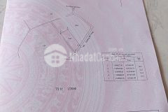 Bán lô đất đường bê tông xã an thới đông, cần giờ 22,5 x 60, giá 1,7 tỷ