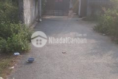 Đất thổ cư giá tốt đường tam đa, p. trường thạnh, quận 9, dt 130m² giá 4.17tỷ.