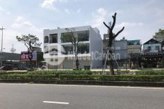 Lô đất nguyễn phước lan, hòa xuân giá tốt nhất thị trường