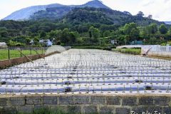 Cần bán 6.900m2 đất vùng ven đà lạt có sẵn 400m2 thổ cư trên sổ hồng,bán chỉ 13 tỷ tl