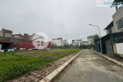 Bán đất khu đấu giá đại áng, thanh trì 60,2m2, mt 4,8m,6.6 tỷ