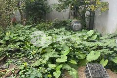 Bán đất giang chính biên giang, hà đông