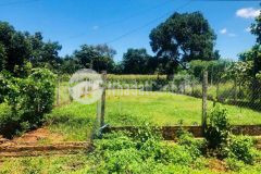 Không thể rẻ hơn đường n5 buôn ju eatu 10x30m tc60 giá đầu tư 2.2 tỷ. lh0916959500.