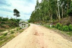 Bán đất vườn khánh phú quy hoạch thổ cư gần ngã ba nước nhĩ