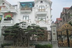 Tôi bán biệt thự kđt lideco view công viên vườn hoa cạnh hồ điều hòa 150m2 chỉ 21.9 tỷ.