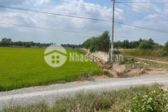 5 hec ta skc mặt tiền quốc lộ n2, xã long thạnh, thủ thừa giá 75 tỷ