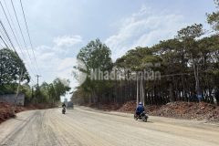 Đất hẻm 195 cạnh khu tái định cư 5 x 20m thổ cư 100 chỉ 1.390 tỷ