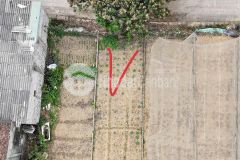 Lô đất 126m2 trong đó có 100m2 thổ cư, 26m2 cln