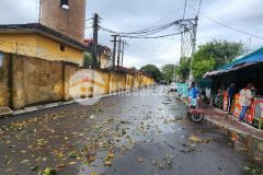 Bán đất kim hồ lệ chi gia lâm hà nội