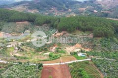 Cơ hội đầu tư đất nền mặt tiền đường 725 xã tà nung