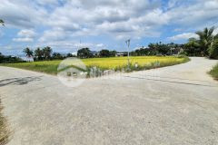 Bán đất lúa diên điền quy hoạch full thổ ngay khu dân cư cạnh hương lộ 5