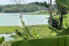 Chính chủ cần bán gấp đất view hồ trị an cực phẩm nghỉ dưỡng đầu tư giá 1 tỷ 1000m2