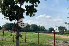 Đất view sông kdc cao cấp rạch chiếc, phước long a, dt 160m2 giá 78trm2 và đất hành lang sông