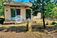 4467m2 đất vườn trái cây ở xã phú mỹ hưng, củ chi giá 5,8 tỷ