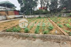 Đất thổ cư bình yên, thạch thất, hn, 63m2, mt5.2m, ôtô đỗ cửa, 2.5 tỷ