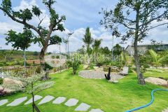 Cần bán đất nhà vườn hoàn thiện xã n thol hạ đức trọng diện tích 996m² giá 3200 triệu