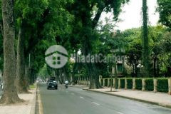 Bán biệt thự vườn đào, tây hồ 236m mặt tiền 15m, view vườn hoa 129 tỷ