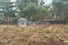 Vợ chồng em cần bán lô đất định quán đồng nai 1.000m2 giá 400tr gấp