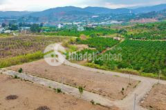 Cần bán đất giá 620 triệu xã gia lâm lâm hà diện tích 130m² có sẵn thổ cư