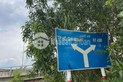 3100m2 đất lúa mt đường nhựa xã an thạnh, bến lức giá 9,3 tỷ