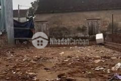 Bán đất đông ngạc bắc từ liêm. 50m2 5.7 tỷ mt 7m cạnh chợ vẽ