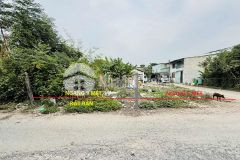 Bán gấp đất giá rẻ hóc môn thới tam thôn 104m2 ngang 5m, chỉ 2 tỷ 650