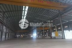 Cho thuê nhà xưởng 5000m2 tại yên mỹ. tỉnh hưng yên