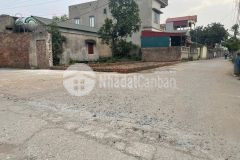 Chính chủ gửi bán lô hoa hậu tại cát lư, chỉ đạo, văn lâm, hưng yên 0835459289